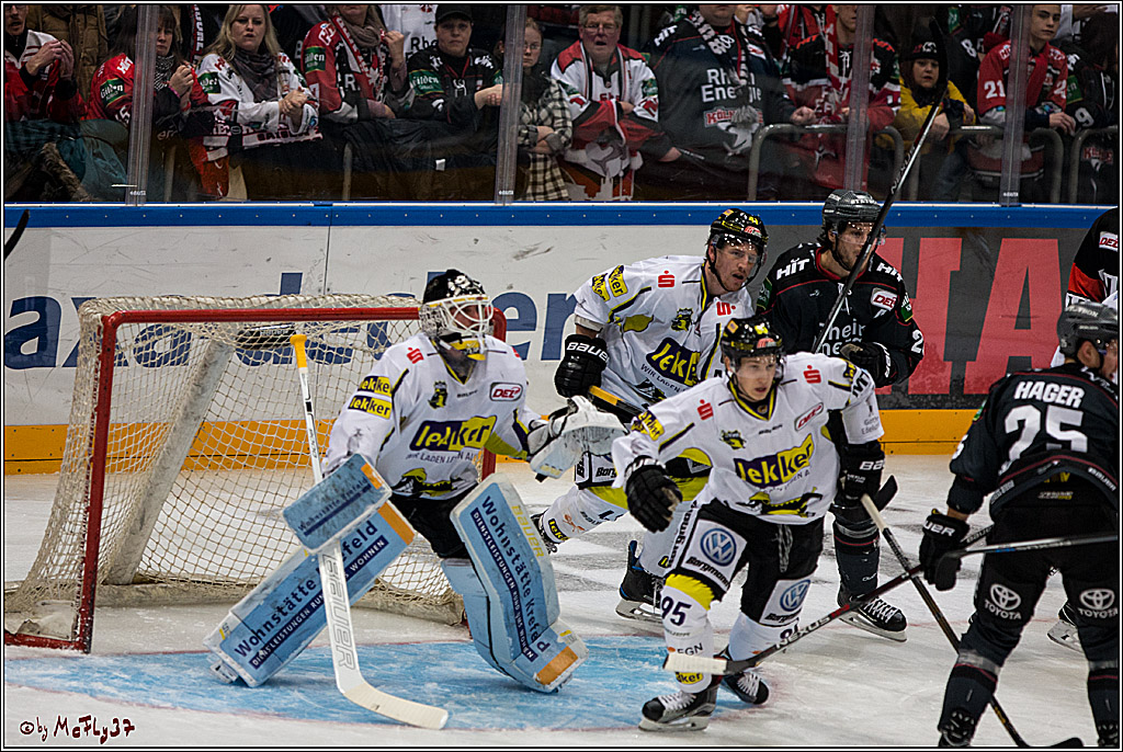 Koelner Haie - Krefelder Pinguine, 22.11.2016